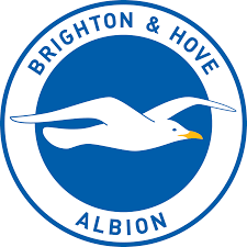 Brighton’s Duffus Gets Jamaican Passport for Transfer